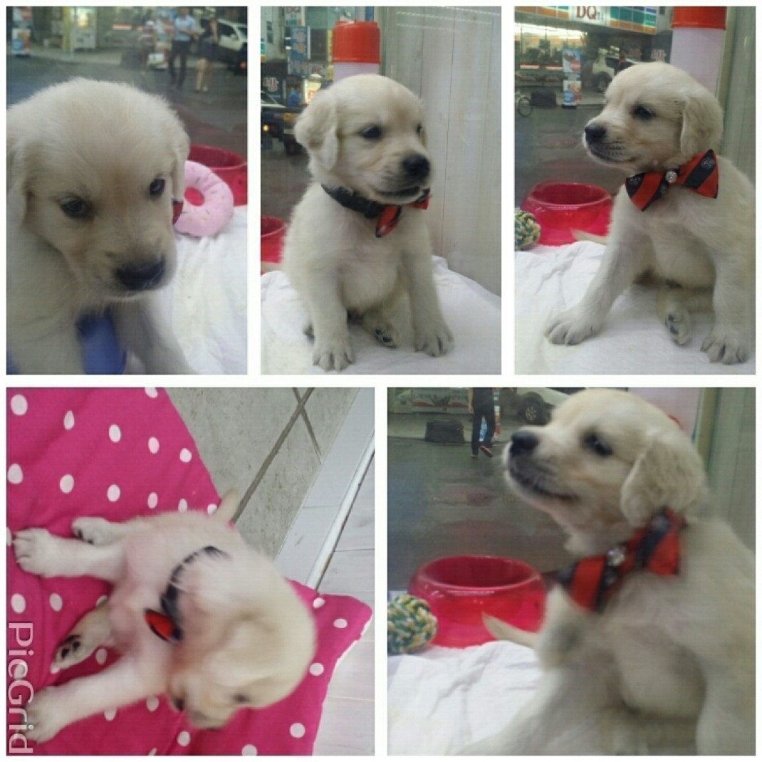 86a5a82fb27741ec03020757aa094acb_1470120