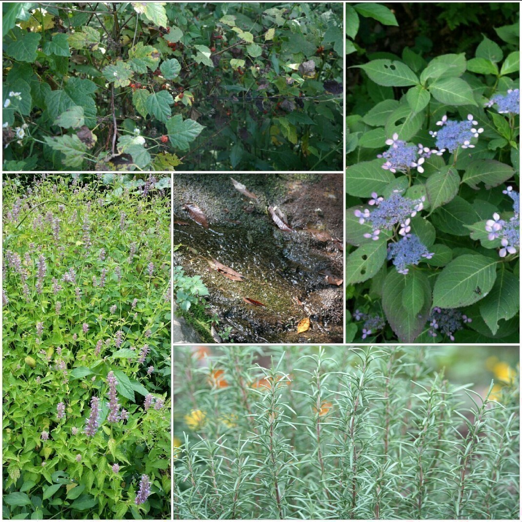 86a5a82fb27741ec03020757aa094acb_1470124