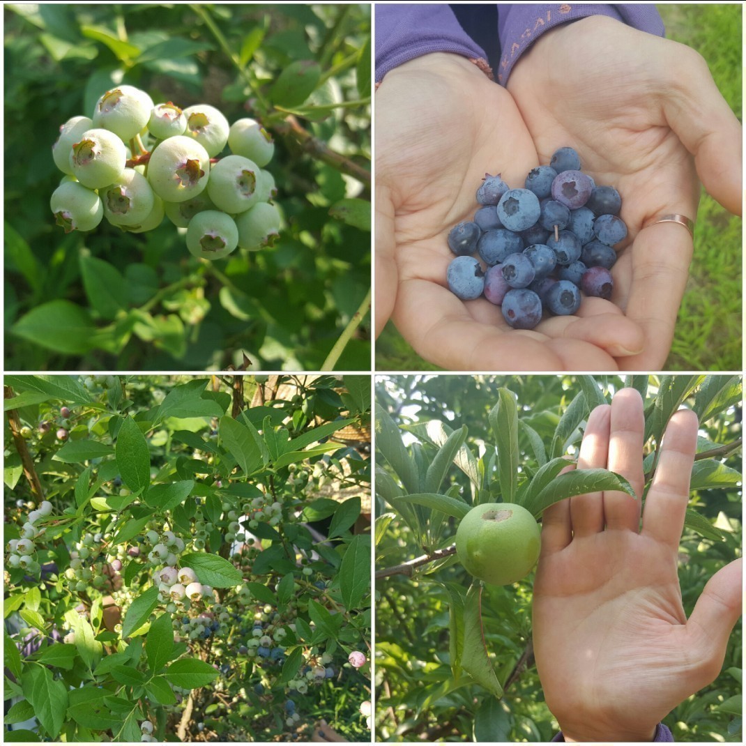 86a5a82fb27741ec03020757aa094acb_1470125