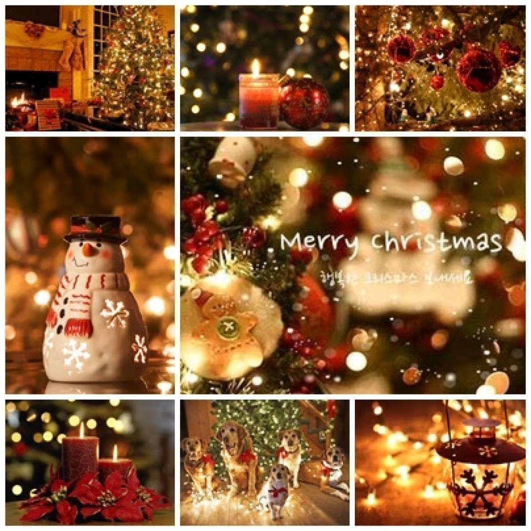 51b07036214a5a6f6335300befc9e14f_1481192391_05.jpg 51b07036214a5a6f6335300befc9e14f_1481192